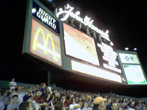 Blackbird on Fenway jumbotron